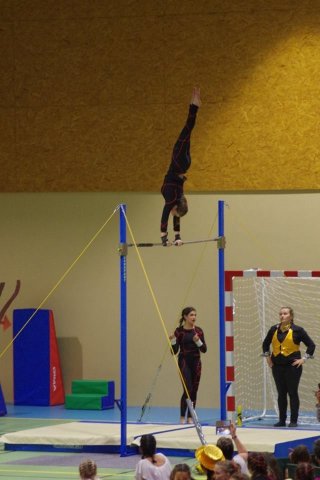 Gymnastique sportive