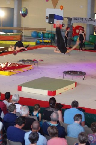 Gymnastique sportive