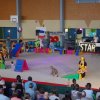 Gymnastique sportive